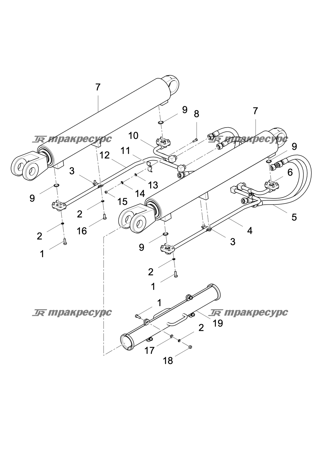 P000000081A3.png