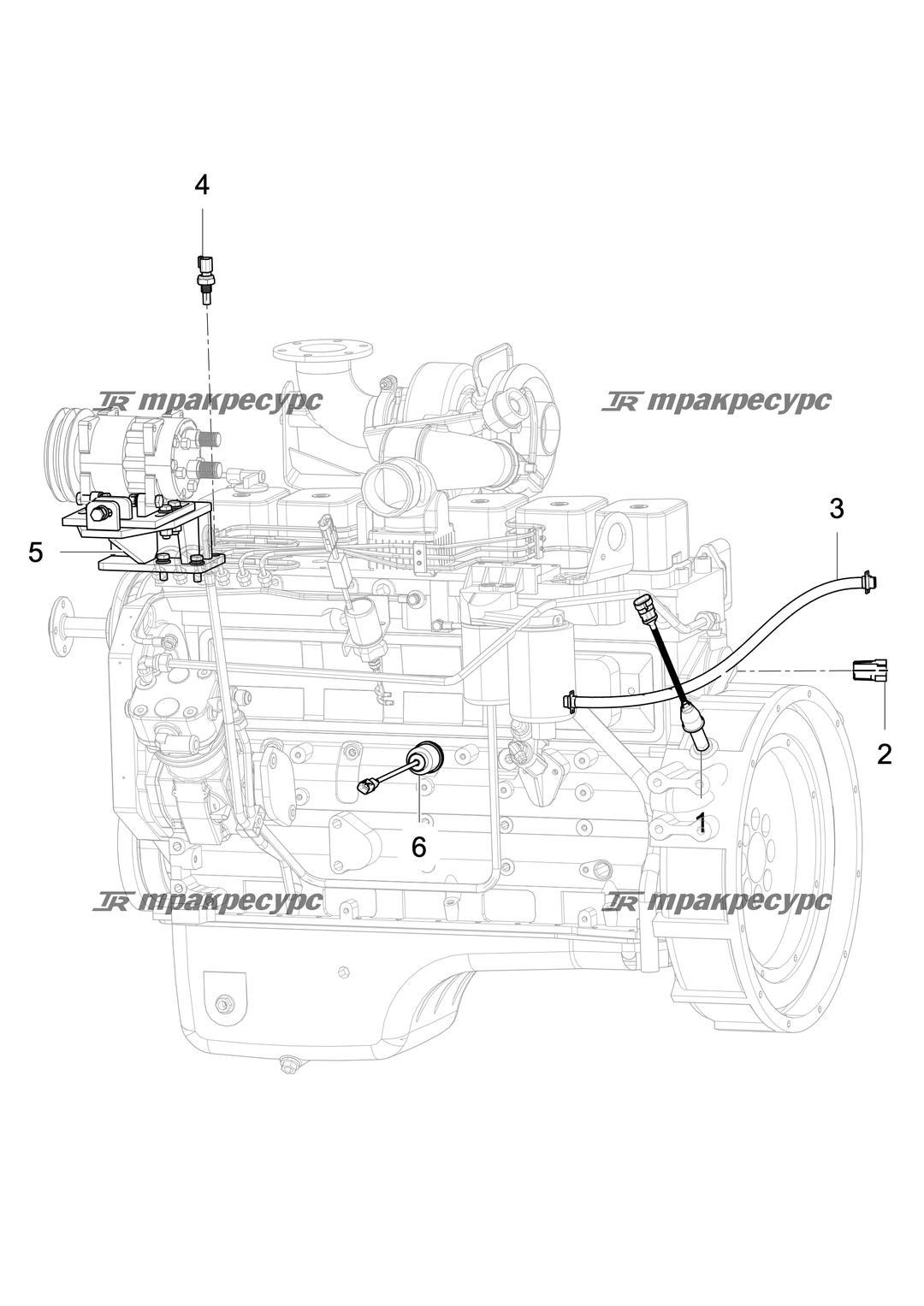P000000084A2.png