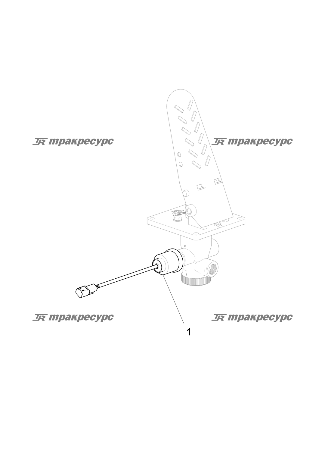 P000000094A2.png