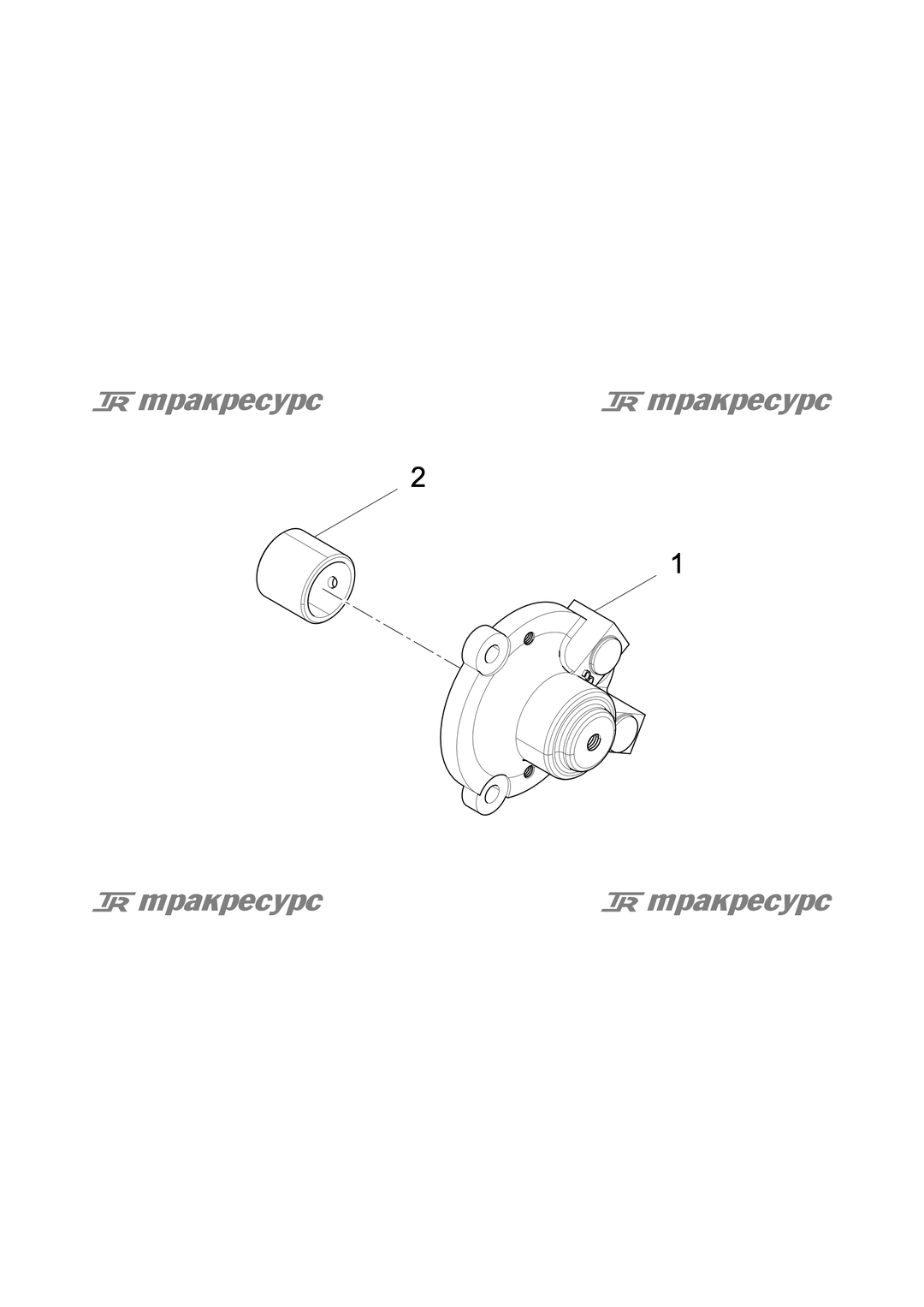 P000000128A2.png