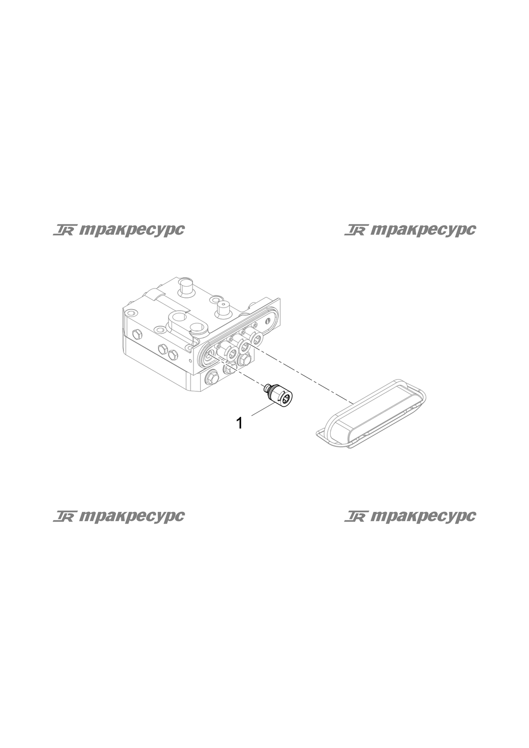 P000000129A2.png