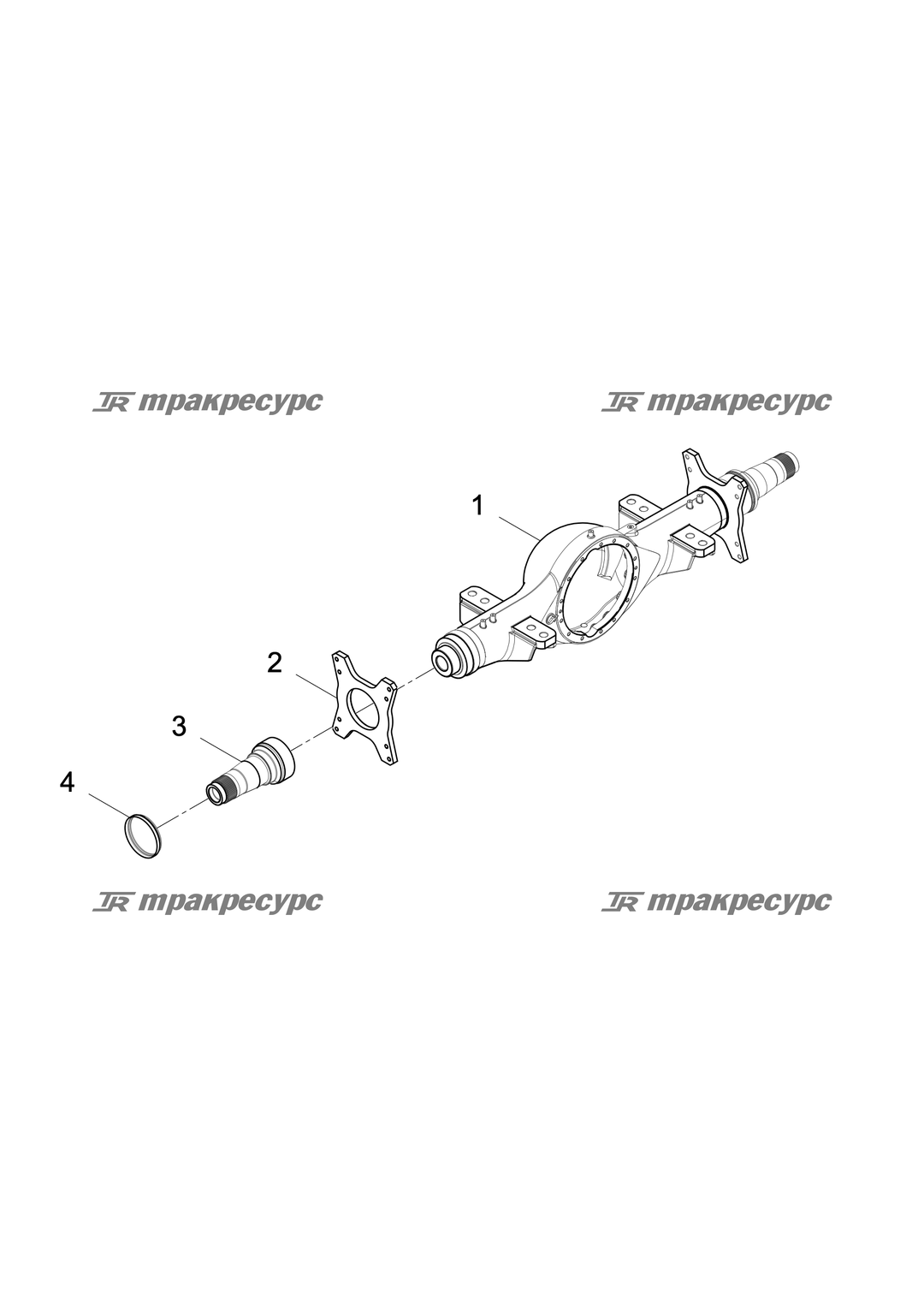 P000000164A2.png