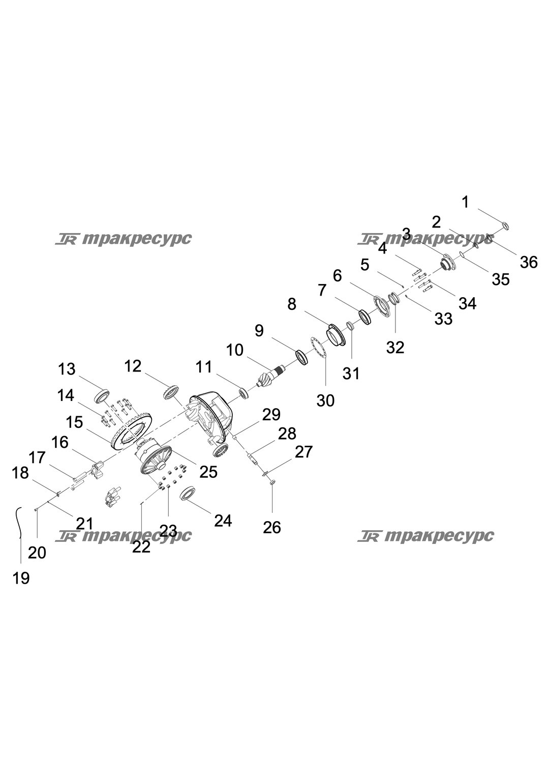 P000000167A2.png