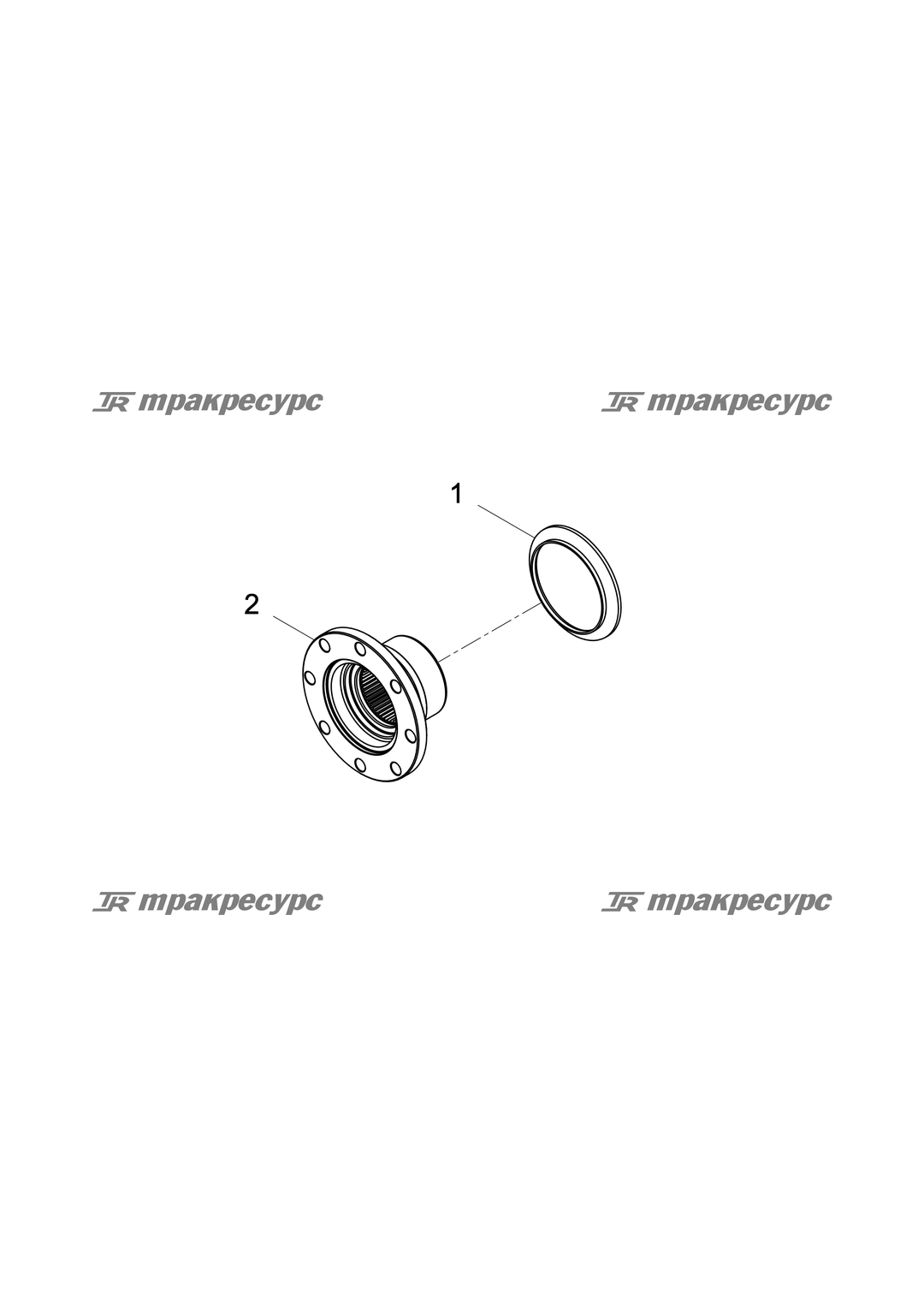 P000000169A2.png