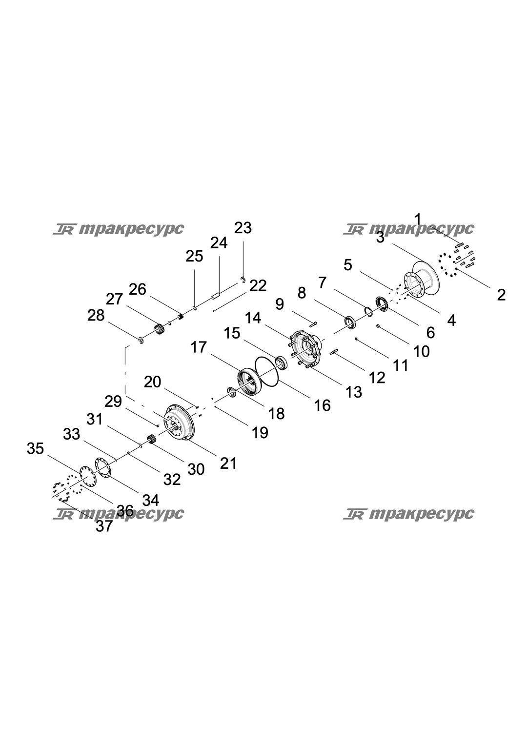 P000000171A6.png