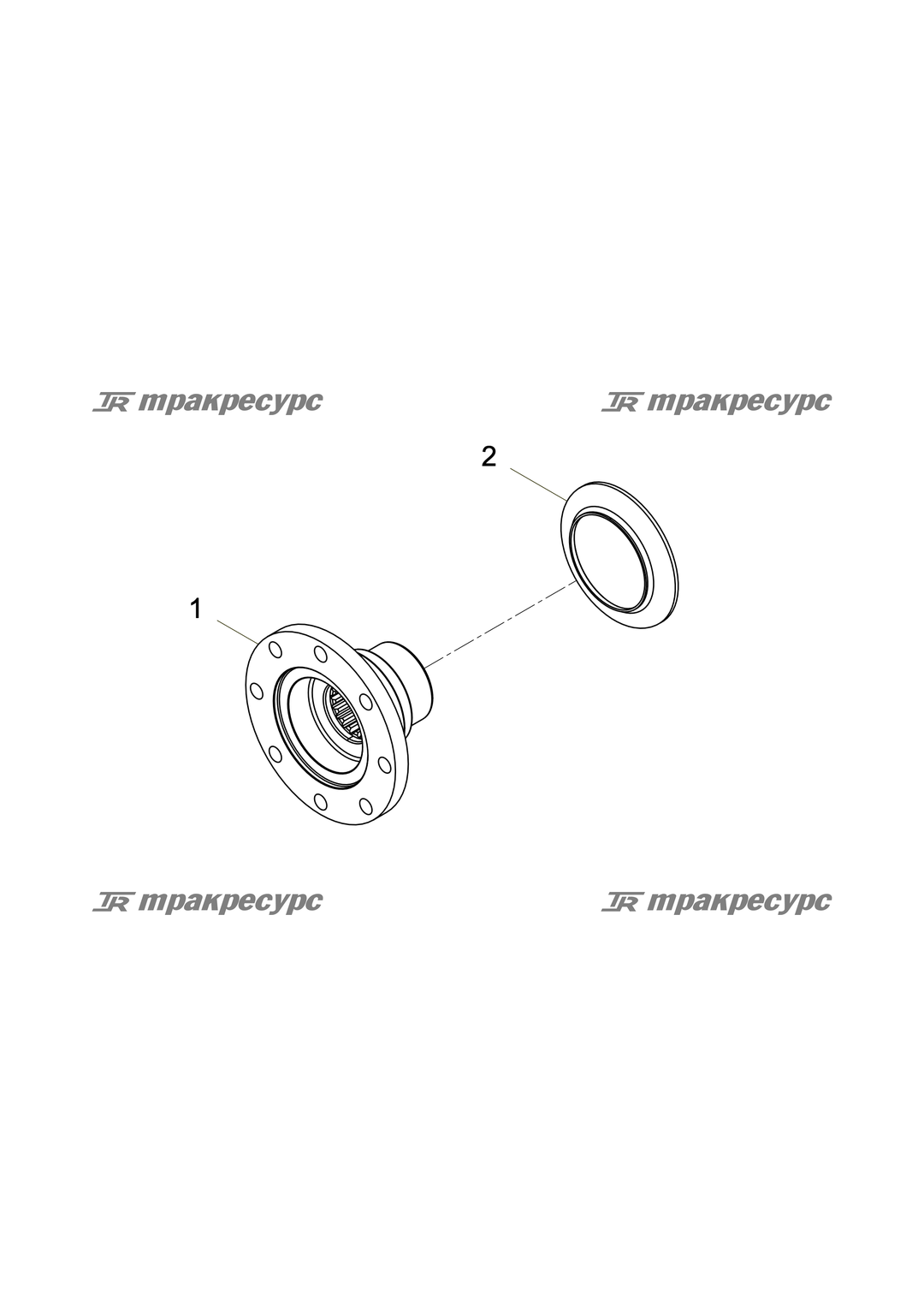 P000000175A2.png