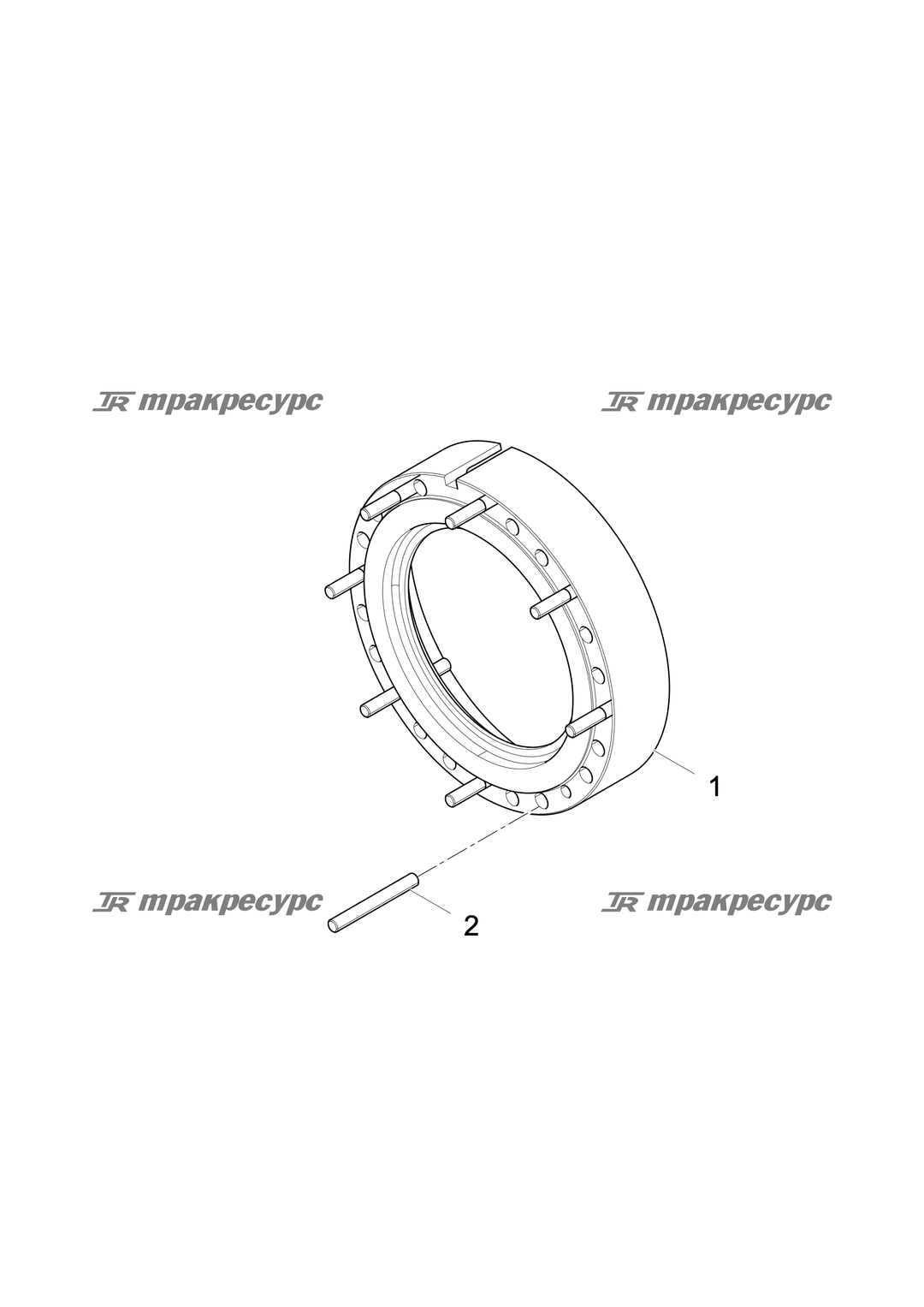 P000000187A2.png