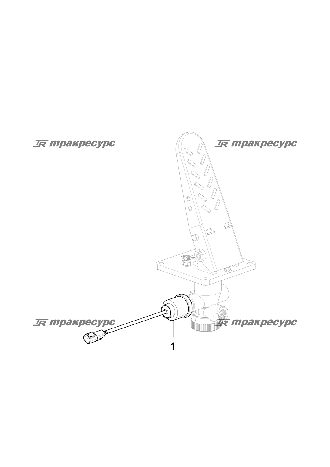 P000000254A2.png