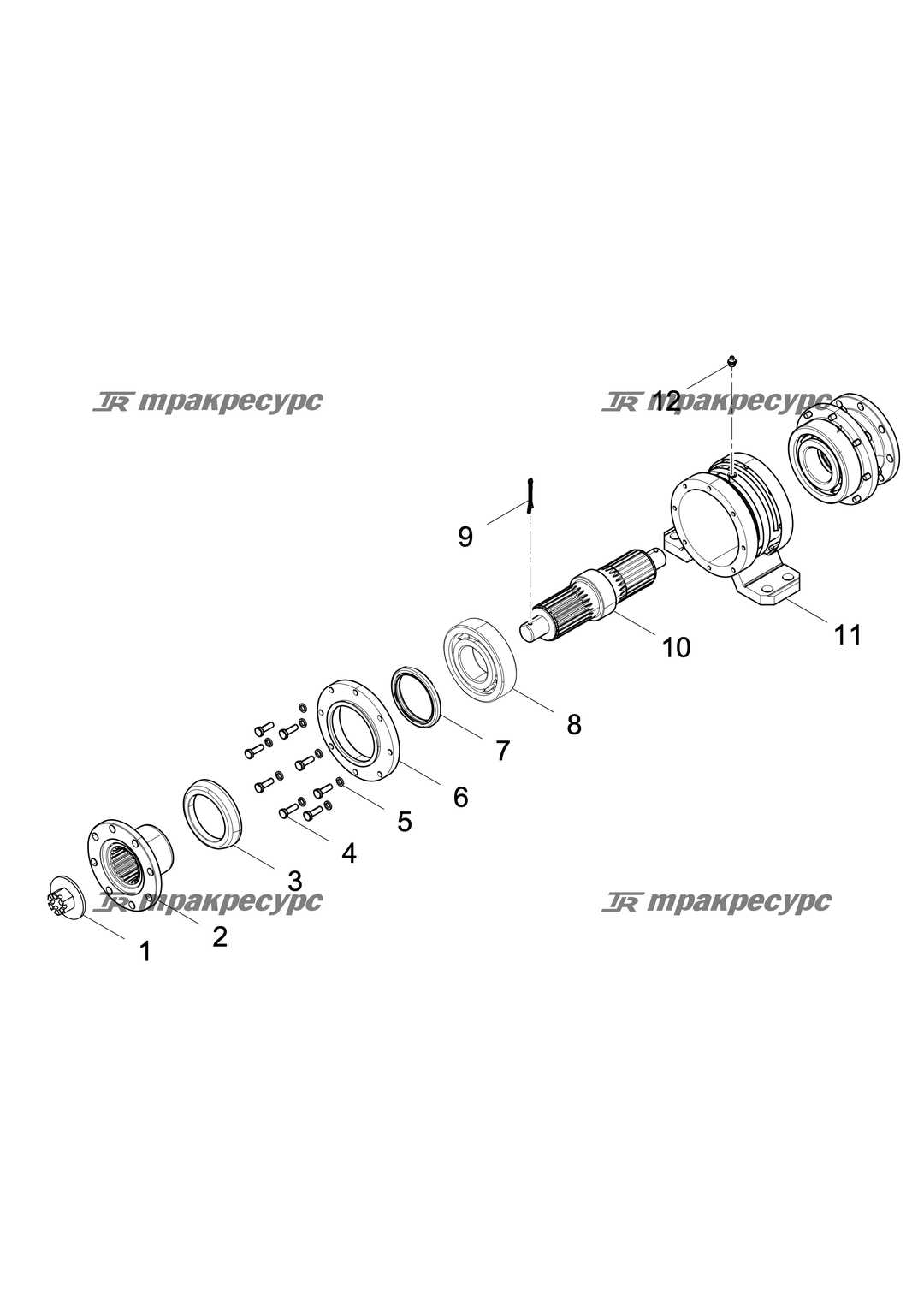P000000295A2.png
