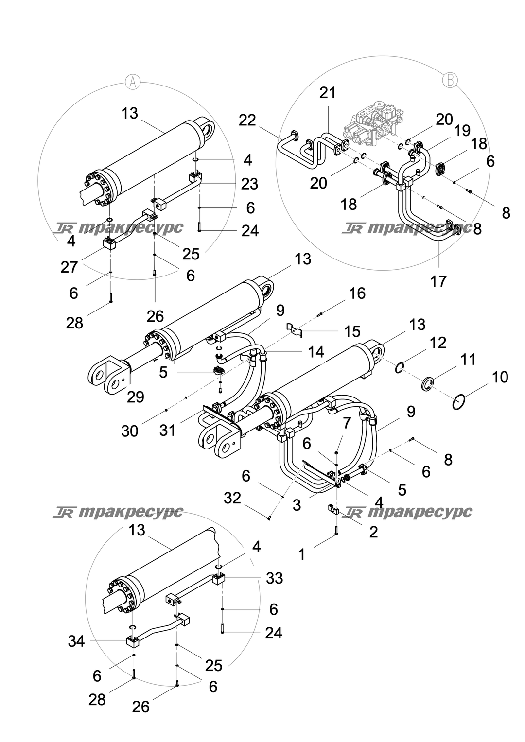 P000000447A2.png