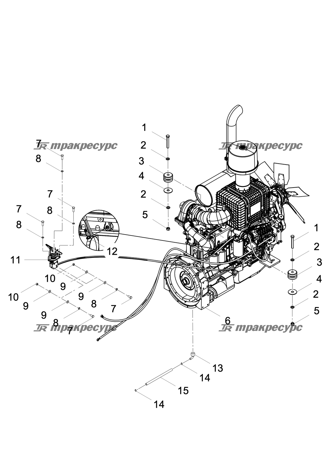 P000000488A2.png