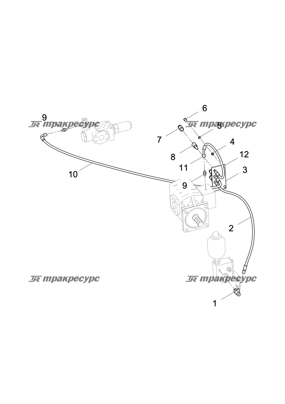 P000000529A2.png