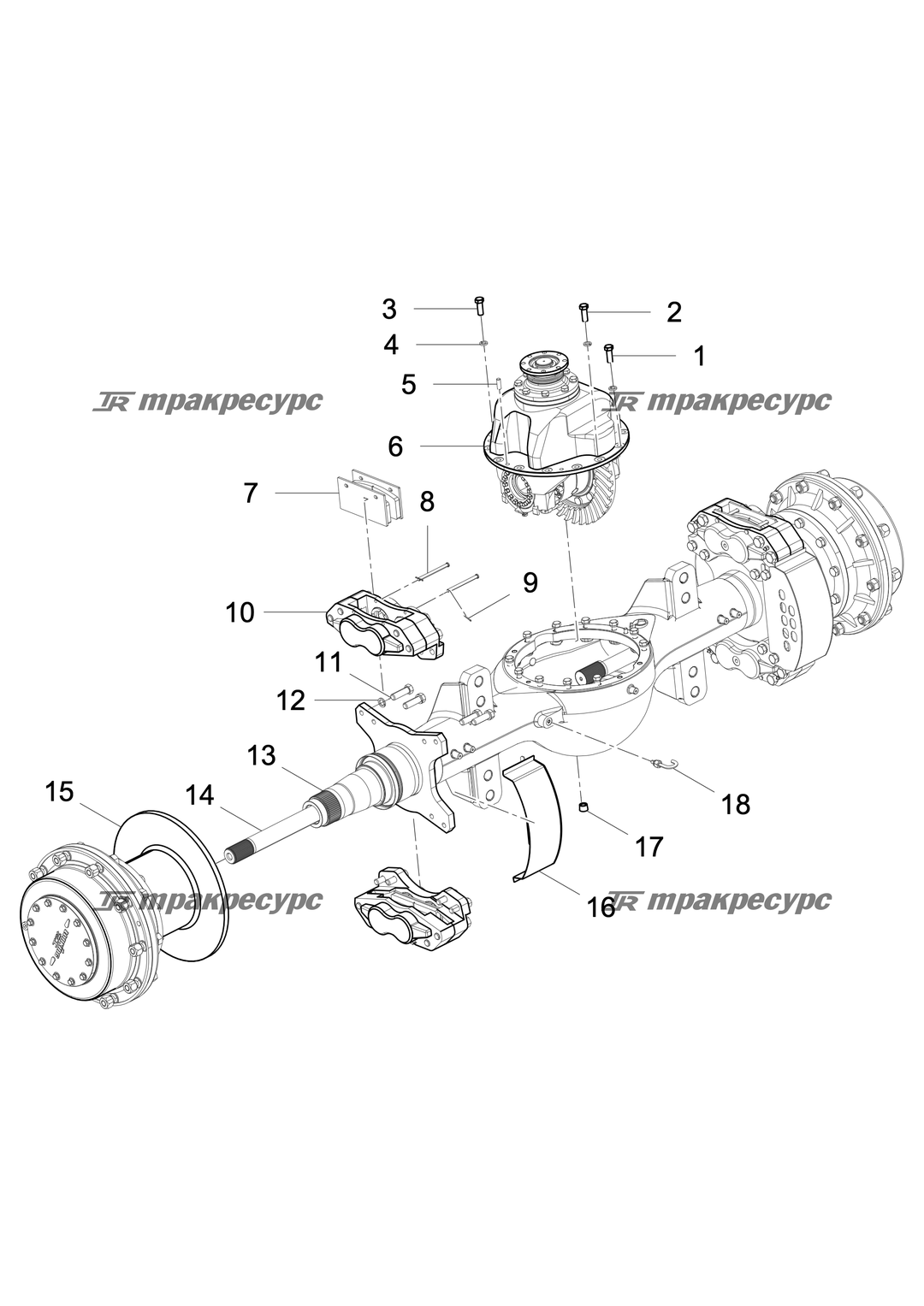 P000000546A2.png