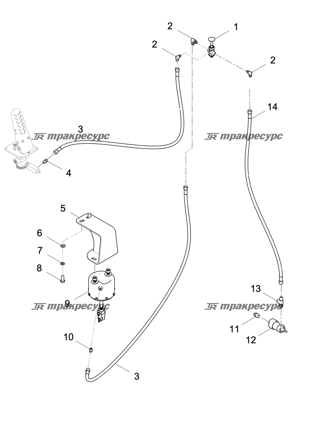 P000000561A2.png