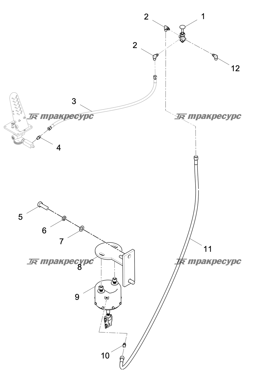 P000000592A2.png