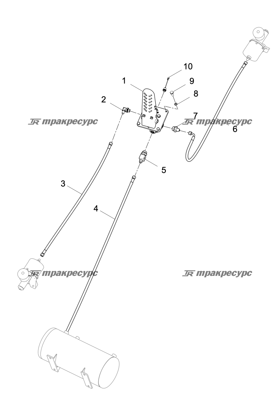 P000000596A2.png