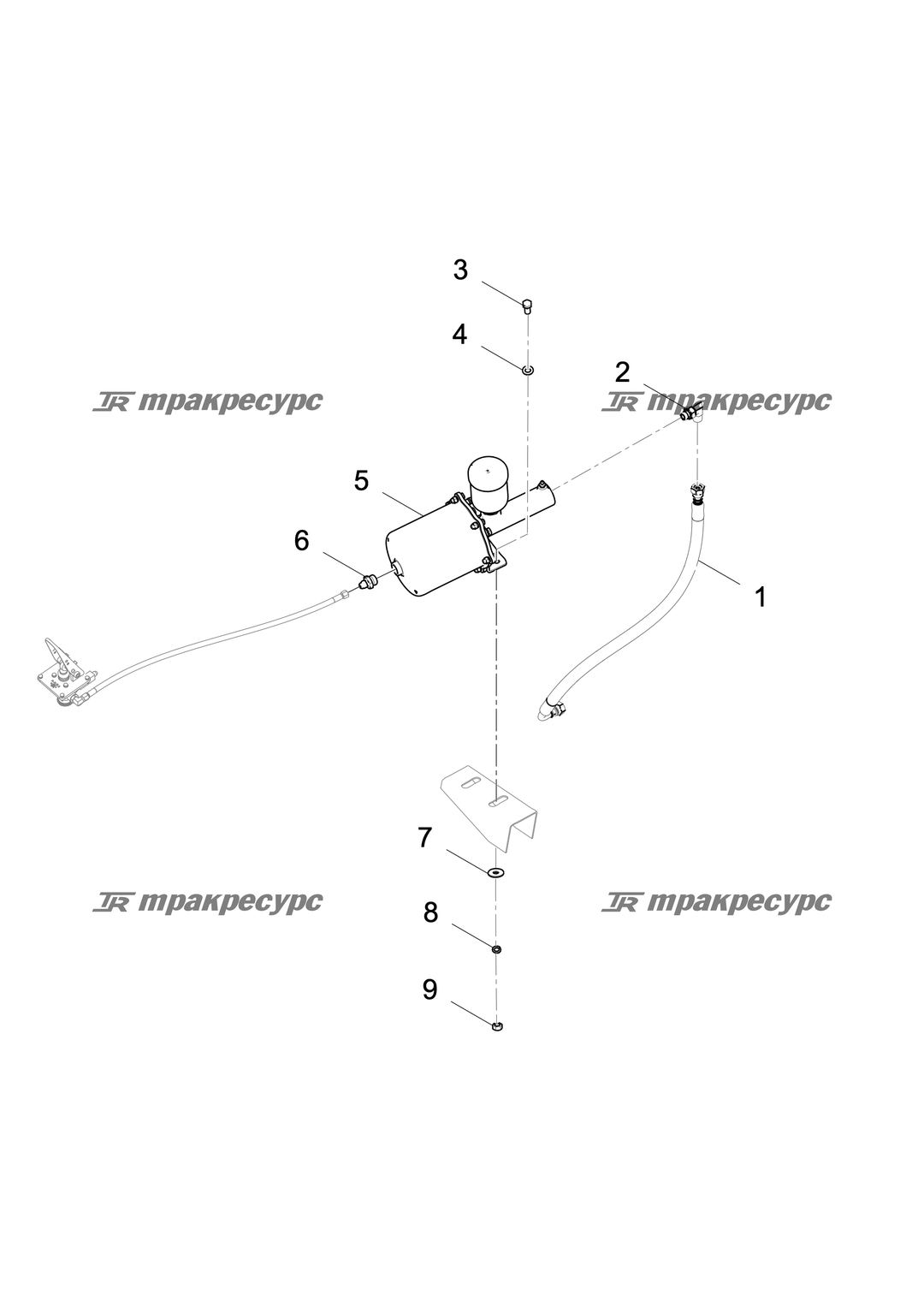 P000000666A3.png