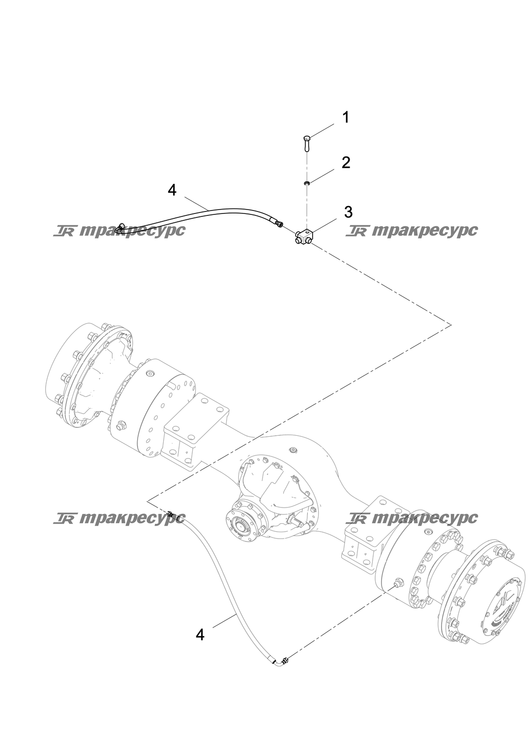 P000000667A2.png