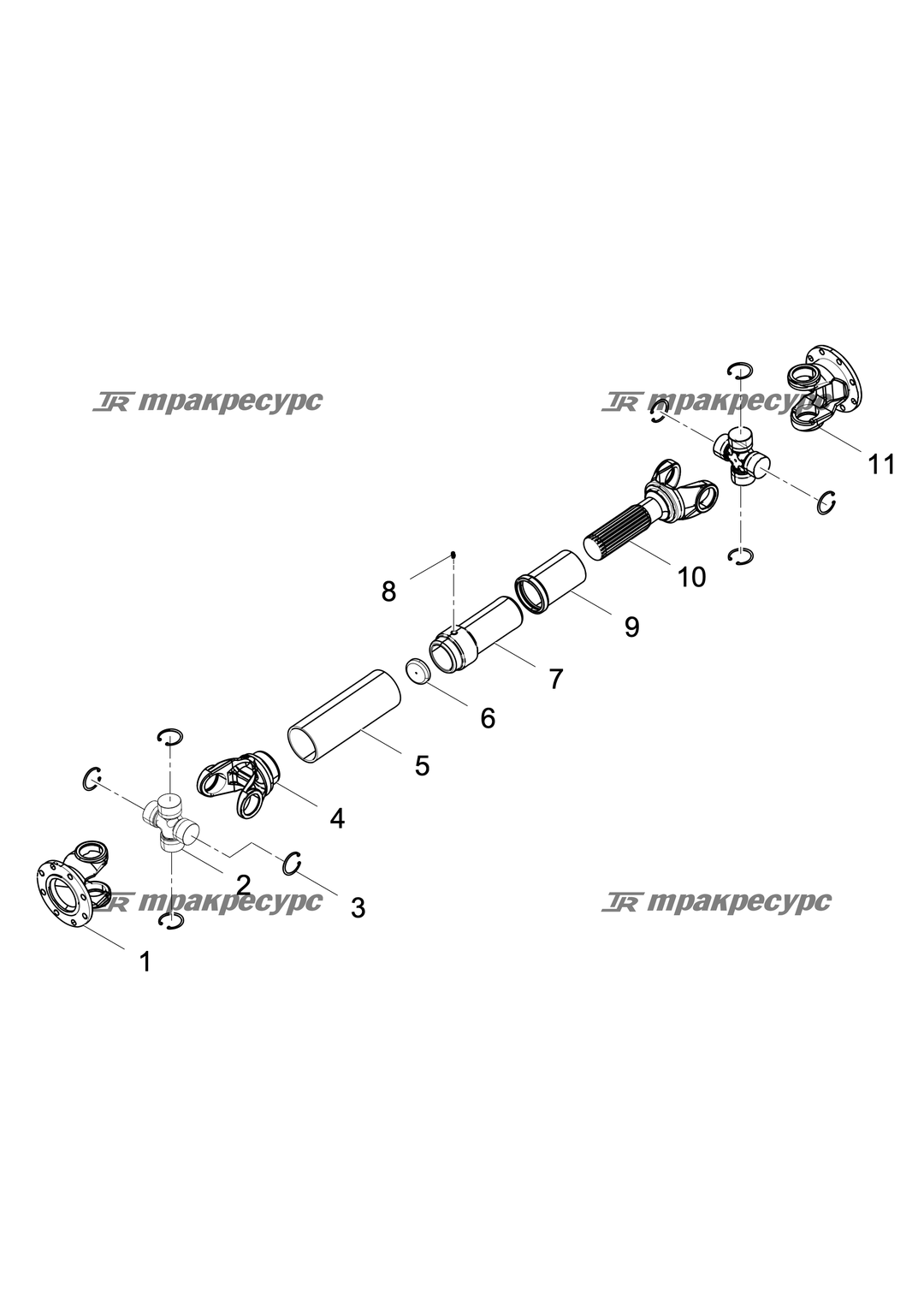 P000000703A2.png