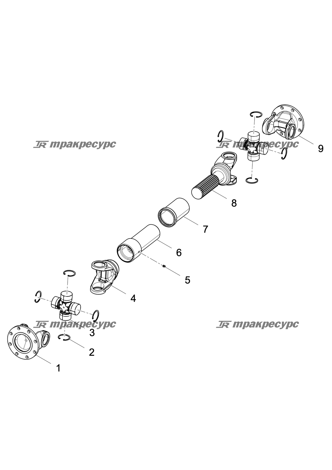 P000000704A2.png