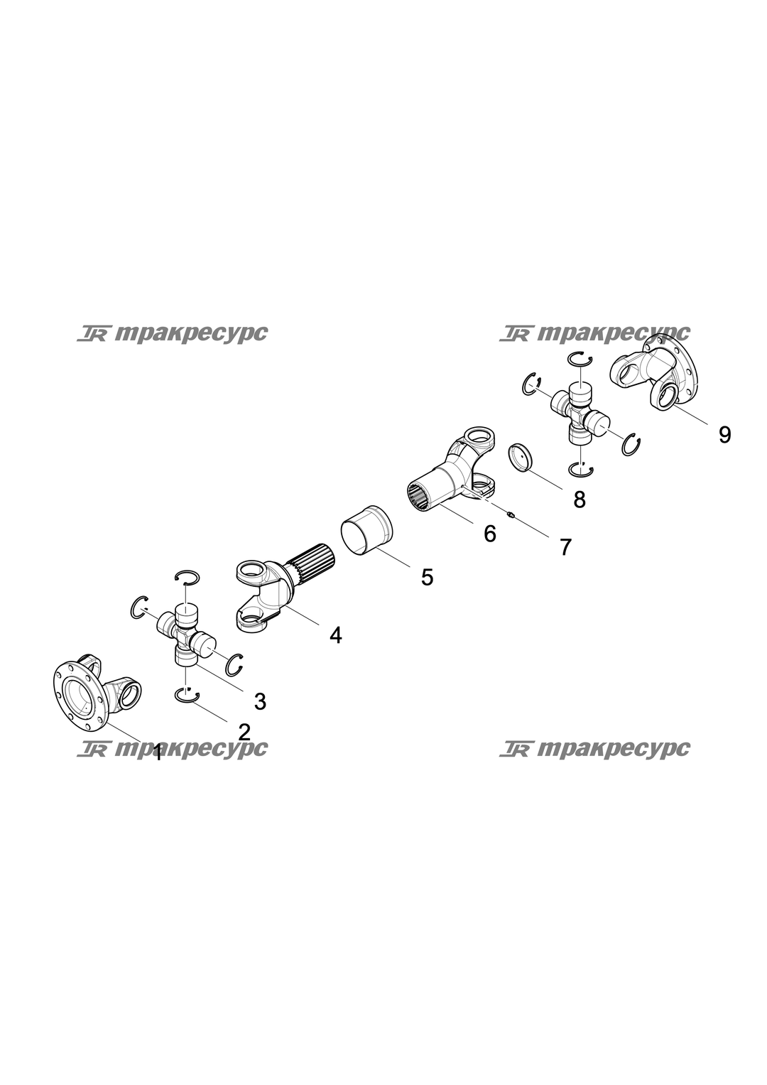 P000000705A2.png