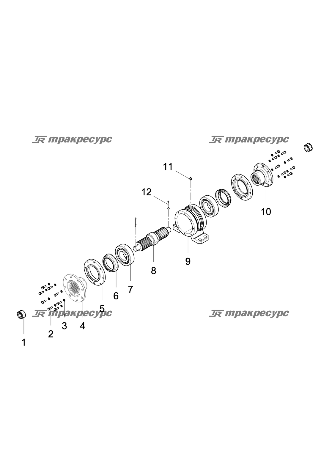 P000000774A3.png