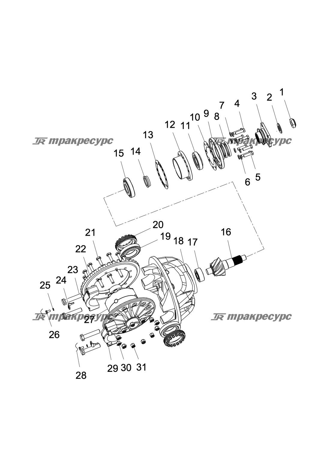 P000000875A2.png