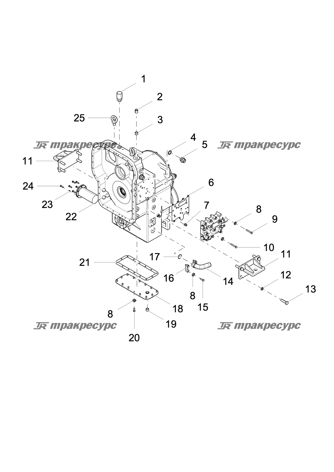 P000001101A2.png