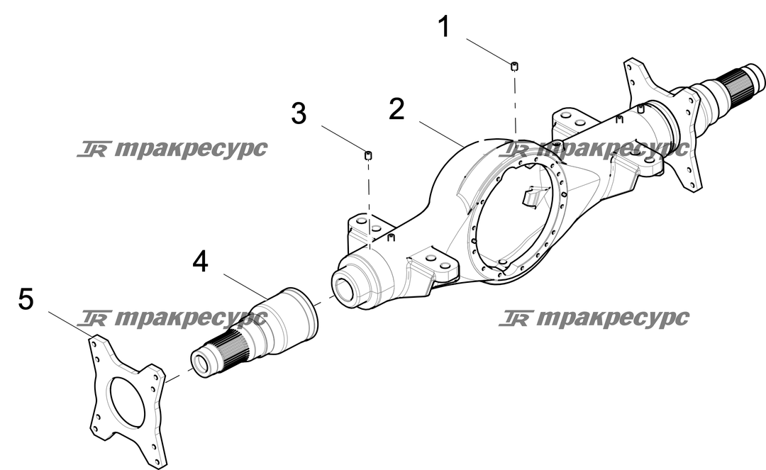 P000001183A2.png