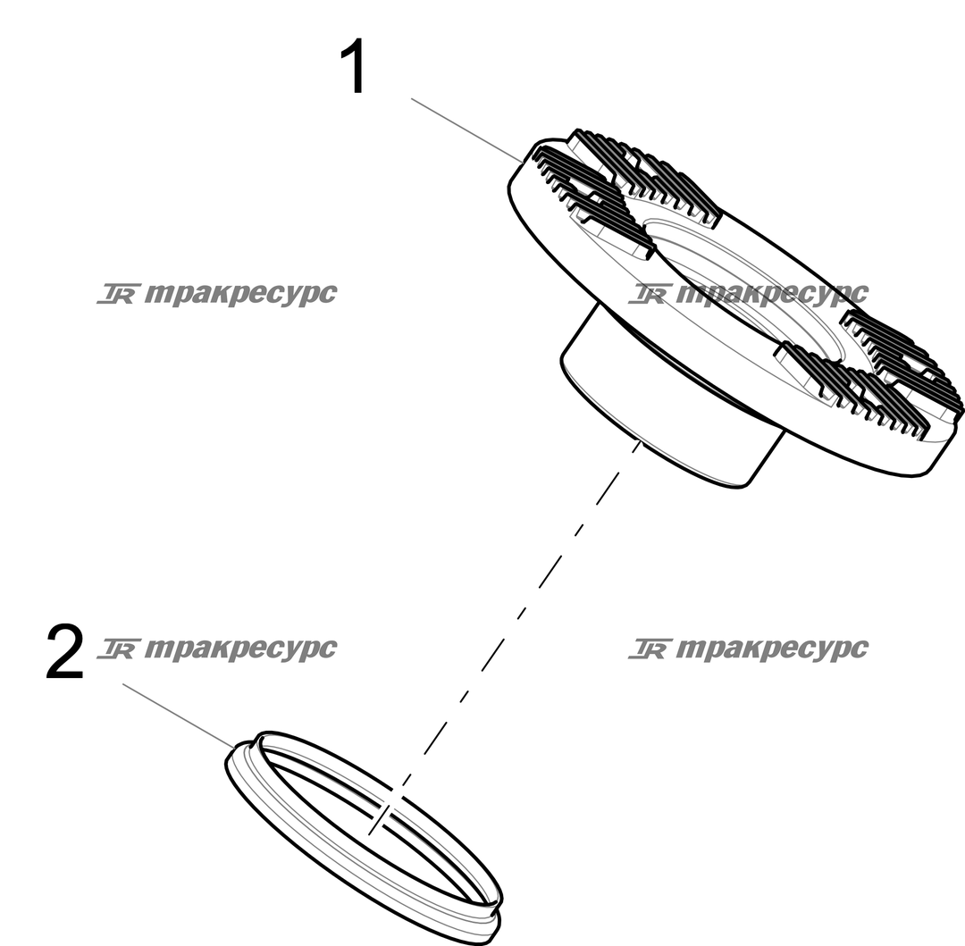 P000001186A2.png