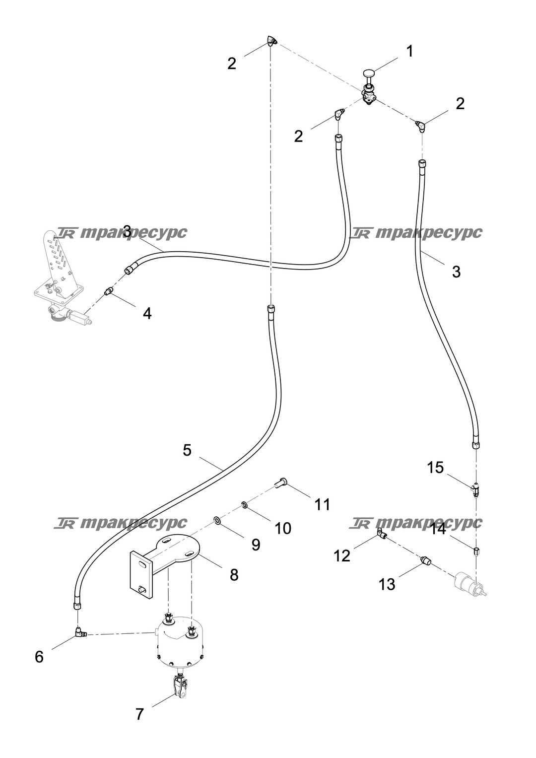 P000001323A2.png