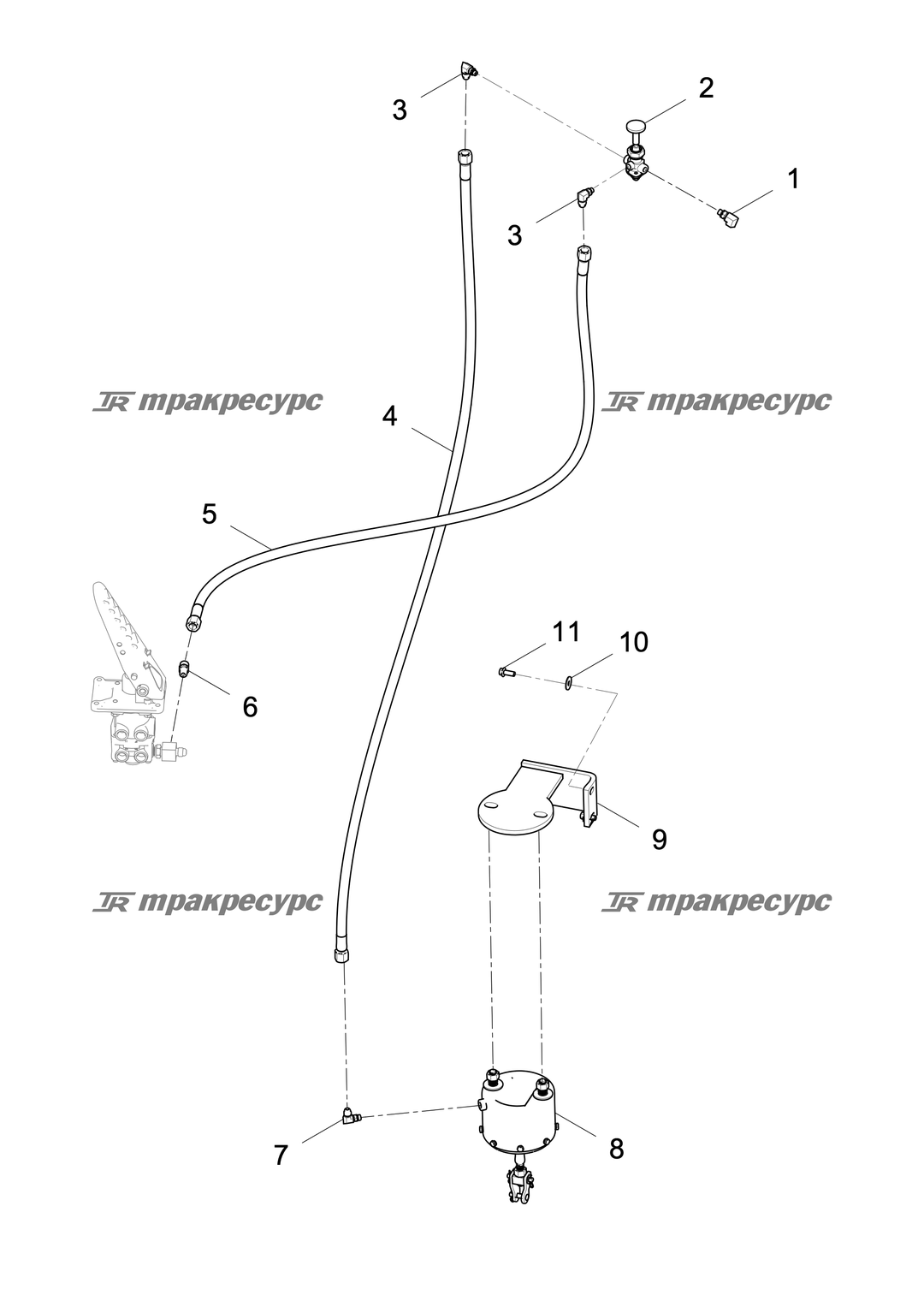 P000001483A2.png