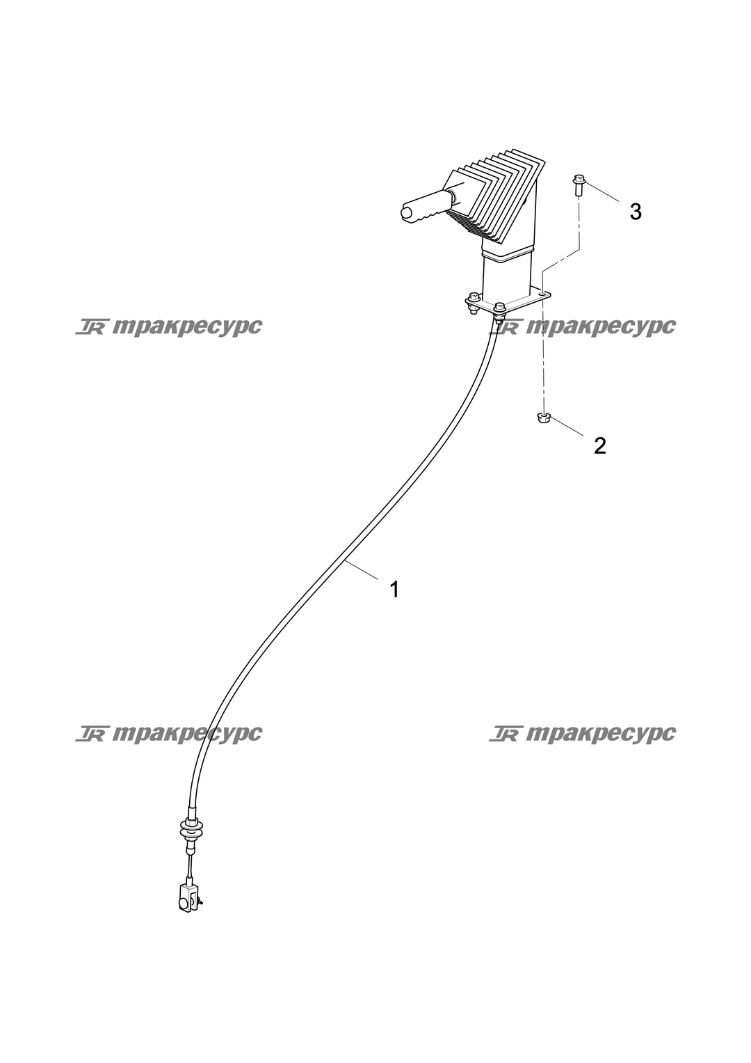 P000001782A2.png