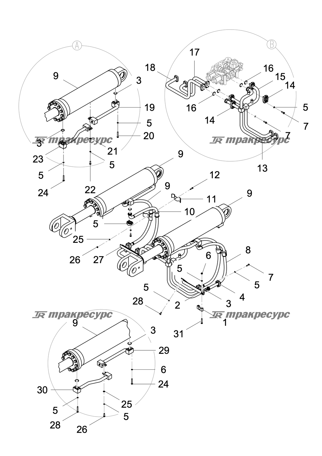 P000002325A4.png
