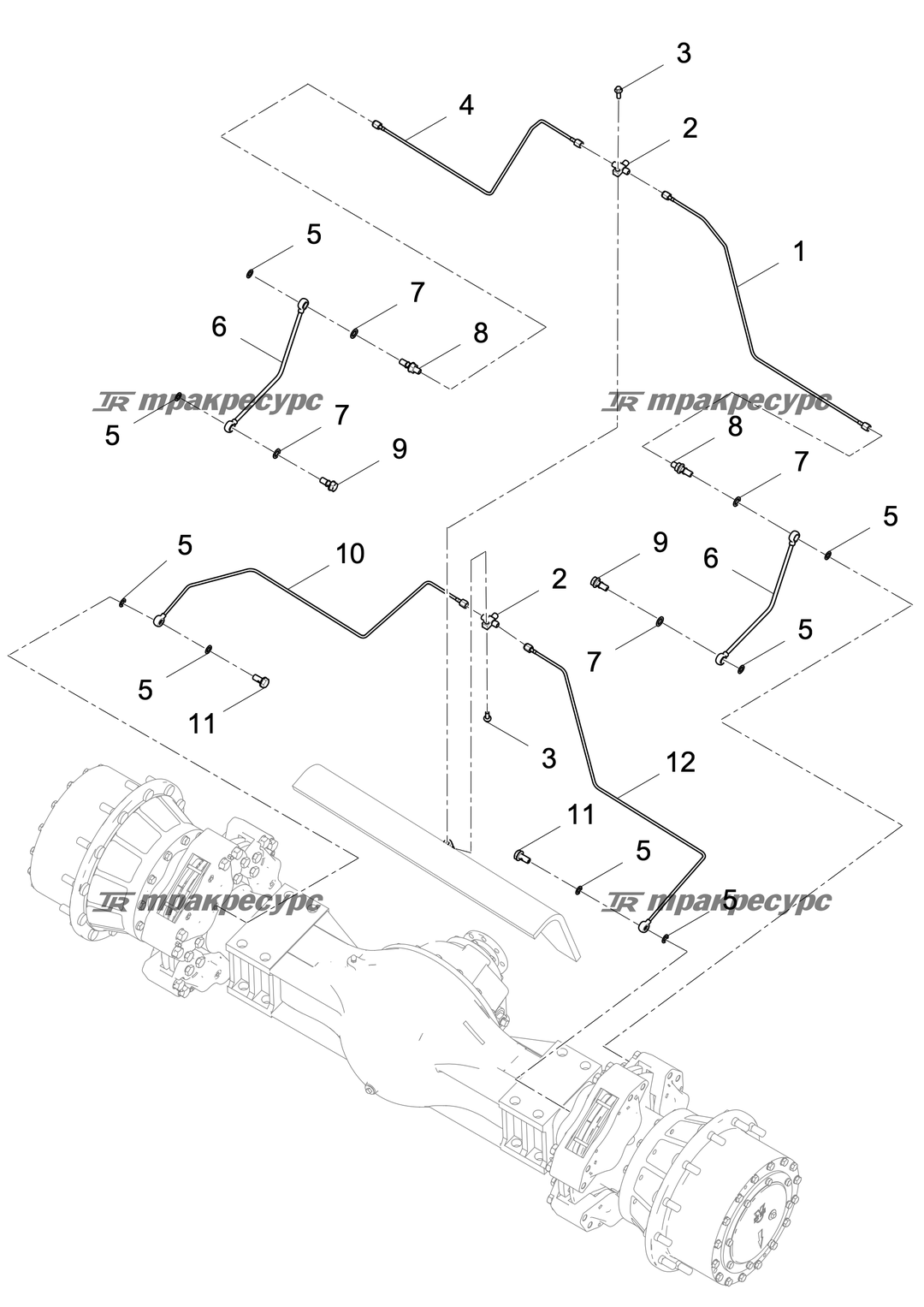 P000002348A2.png
