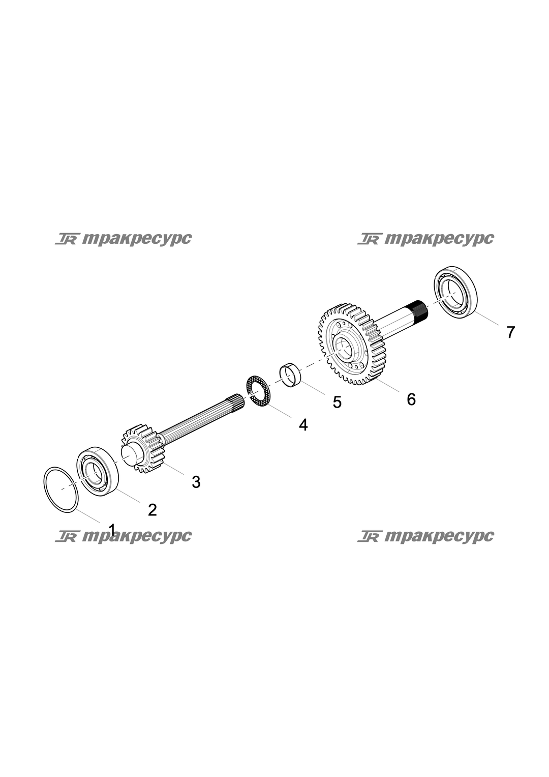 P000002460A2.png