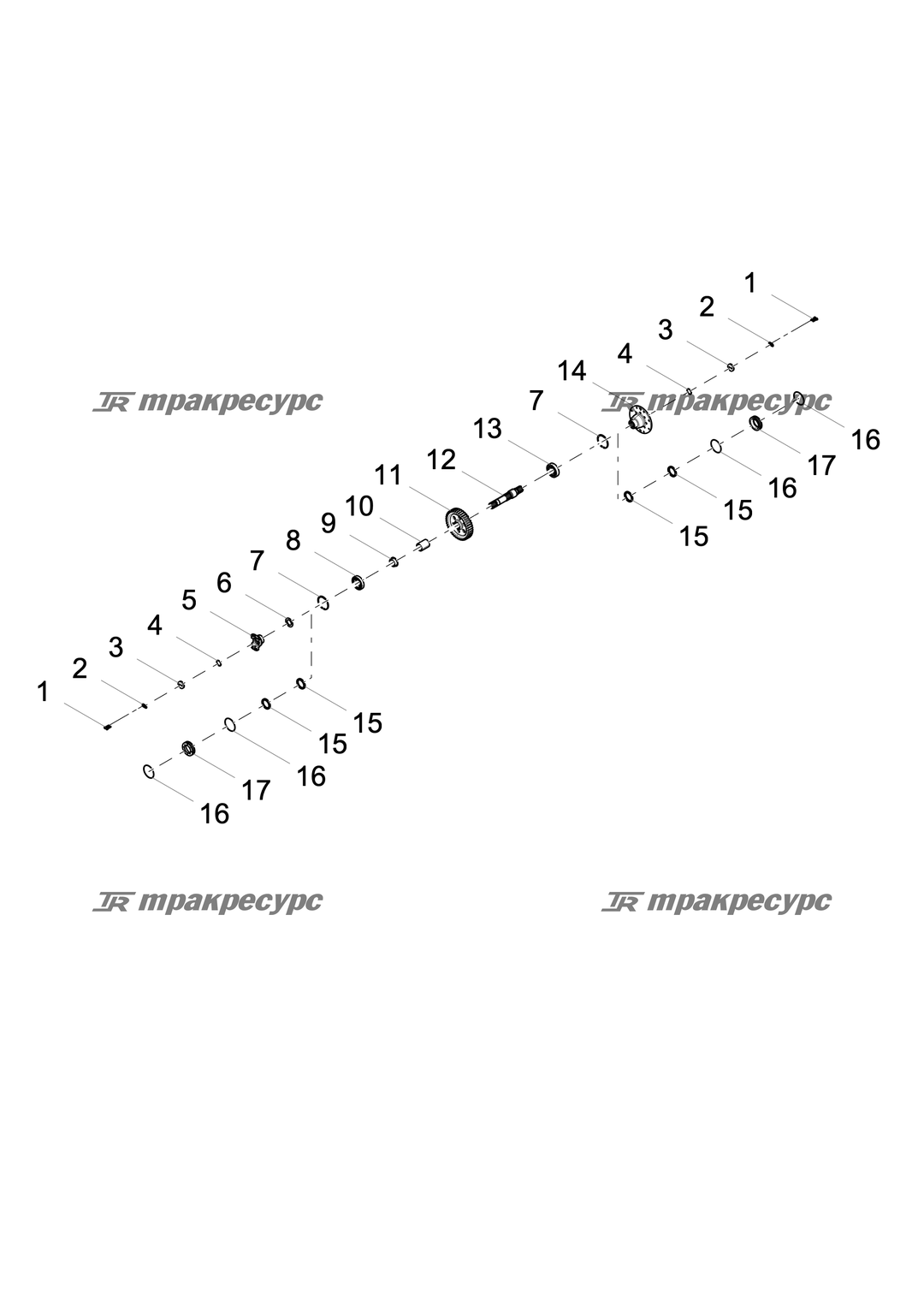 P000002462A6.png