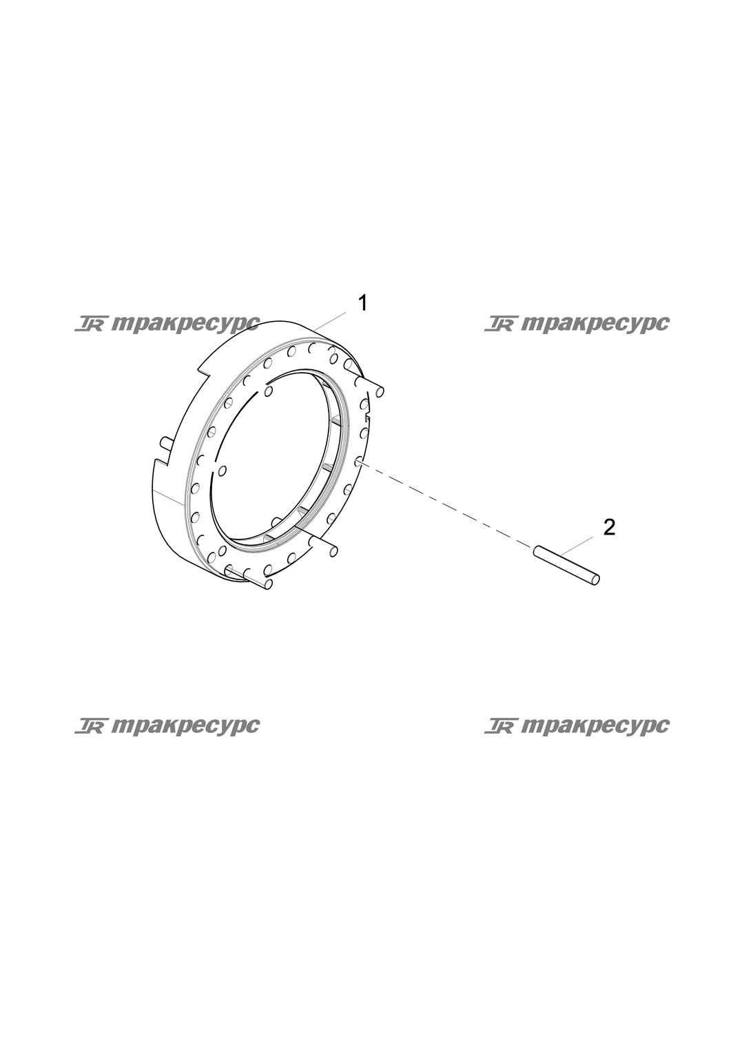 P000002464A2.png