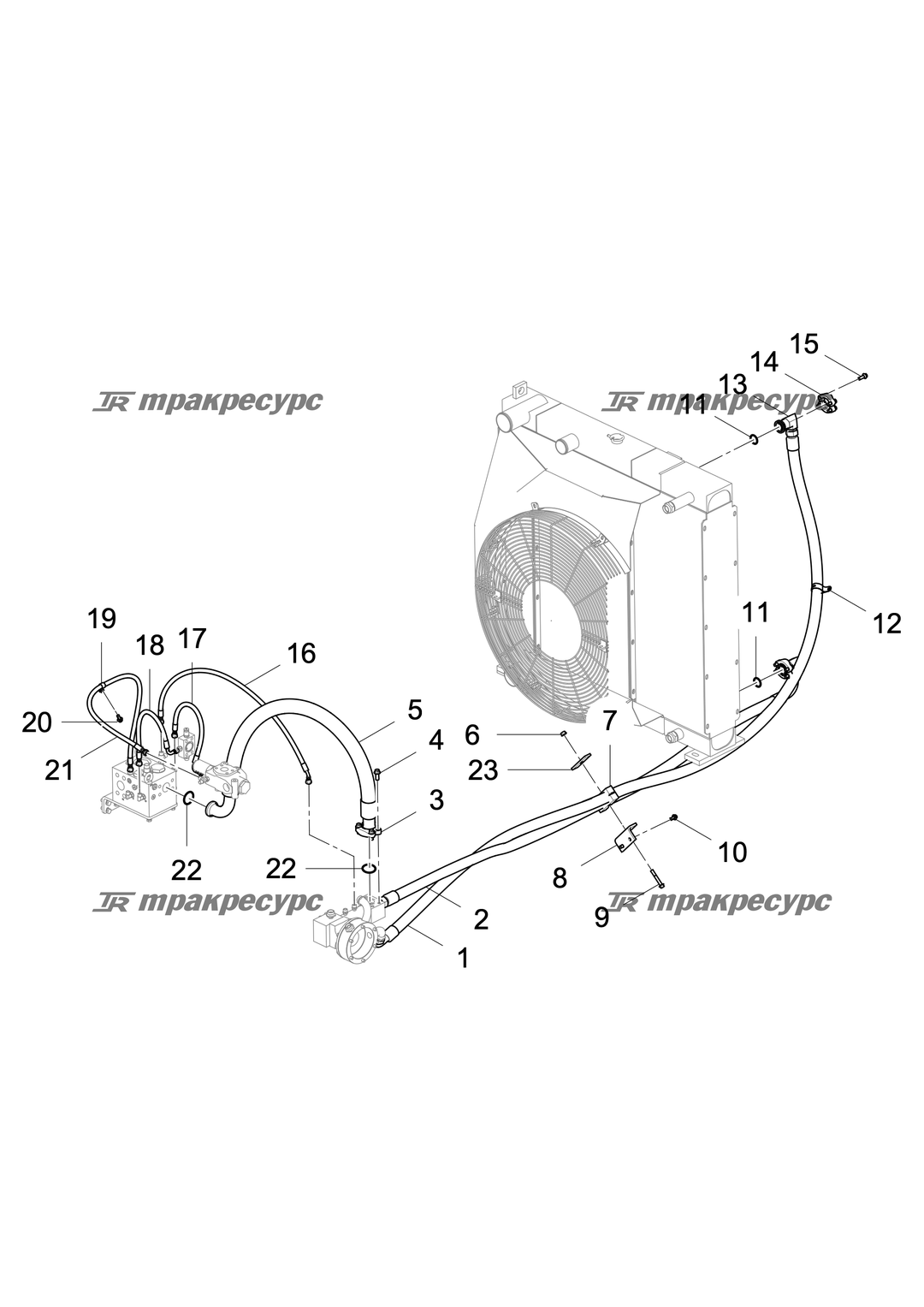 P000002551A2.png