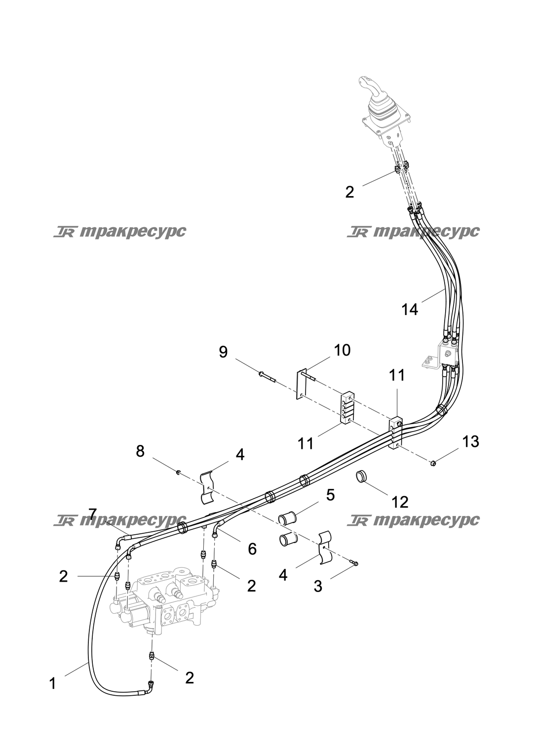 P000002554A2.png