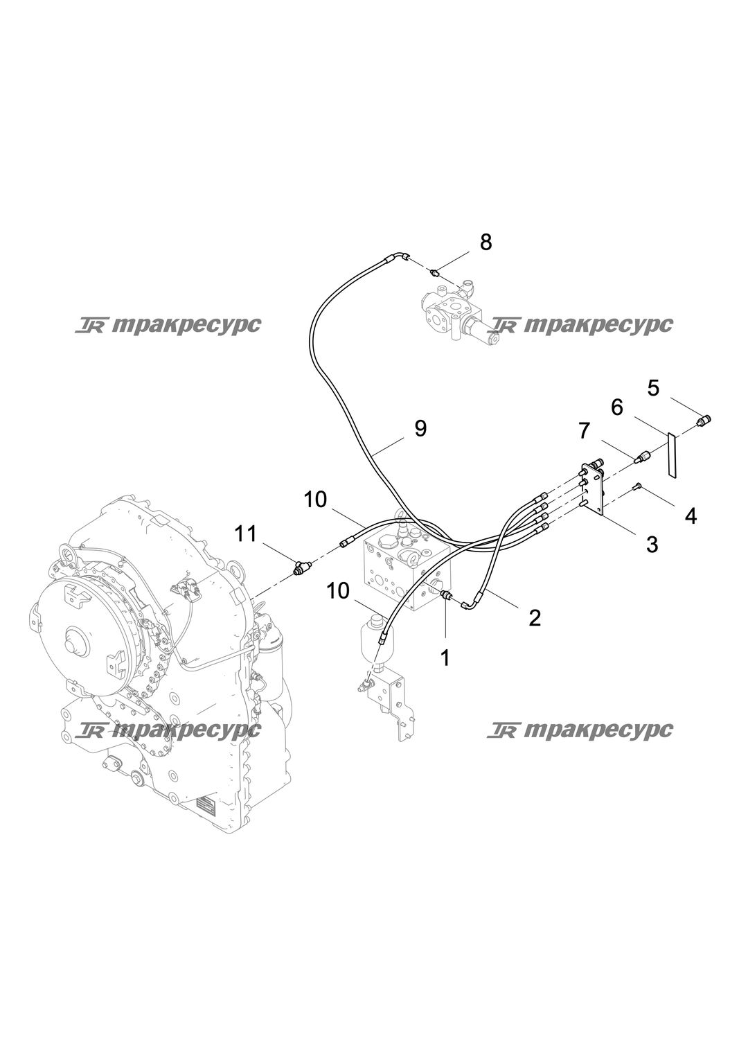 P000002557A2.png