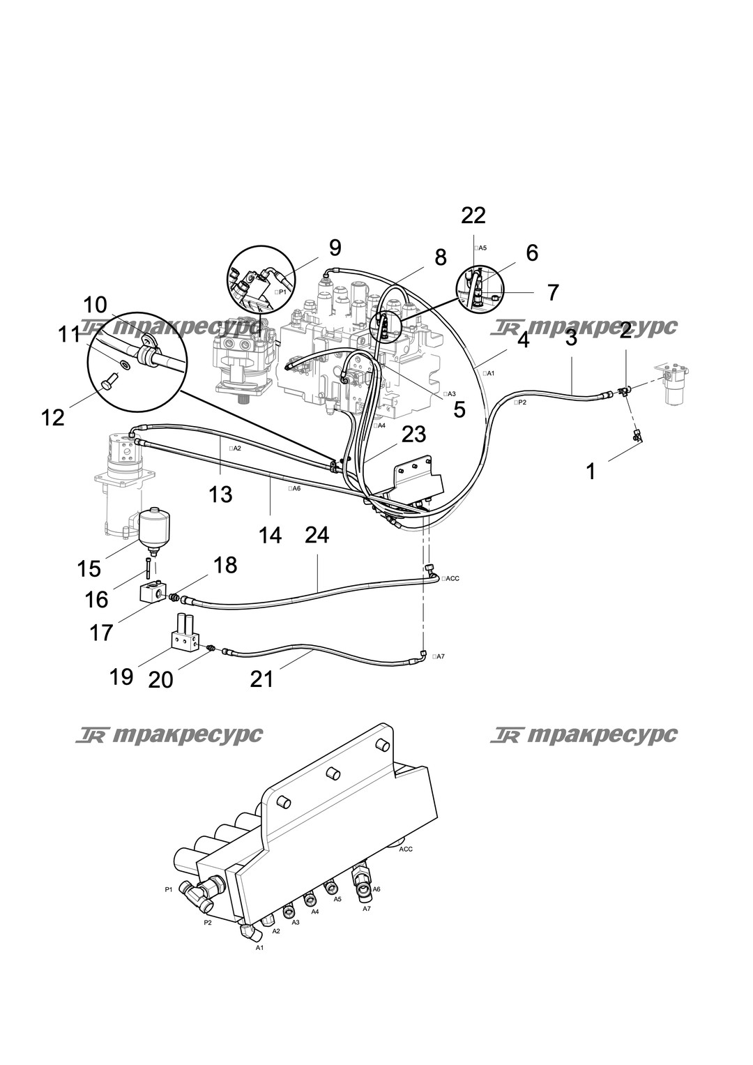 P000002644A2.png