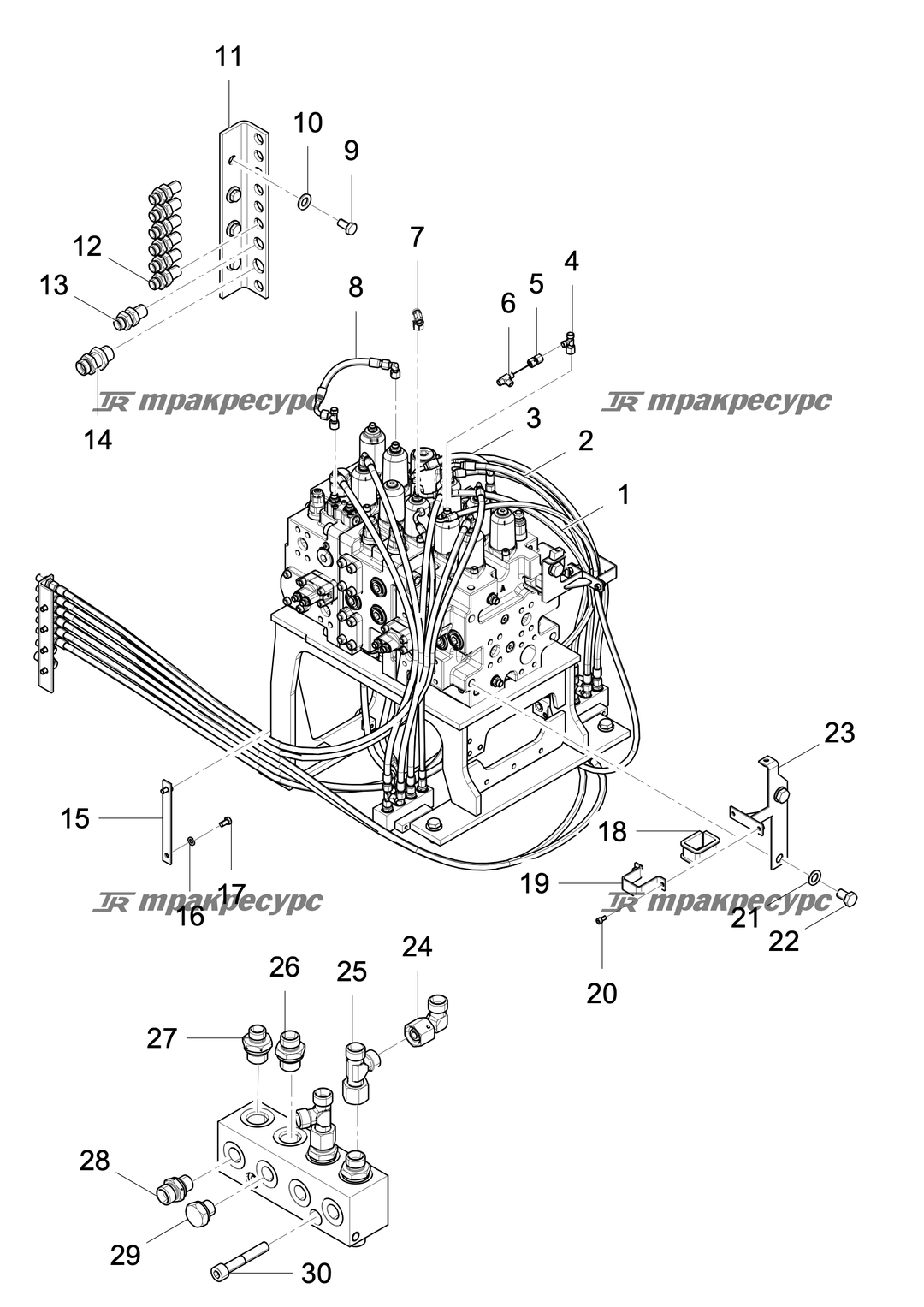 P000002648A2.png