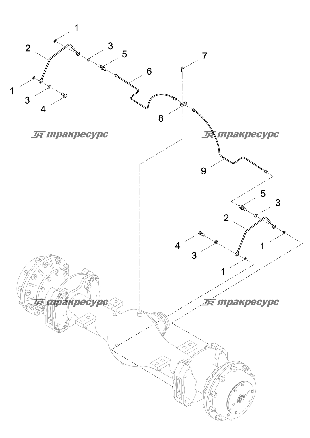 P000002746A4.png