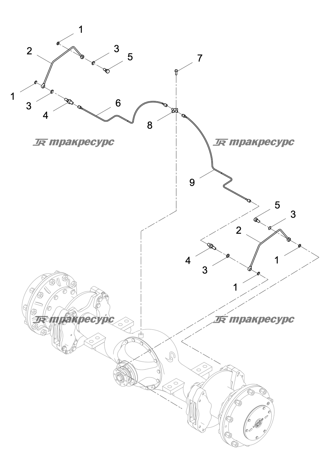 P000002750A2.png