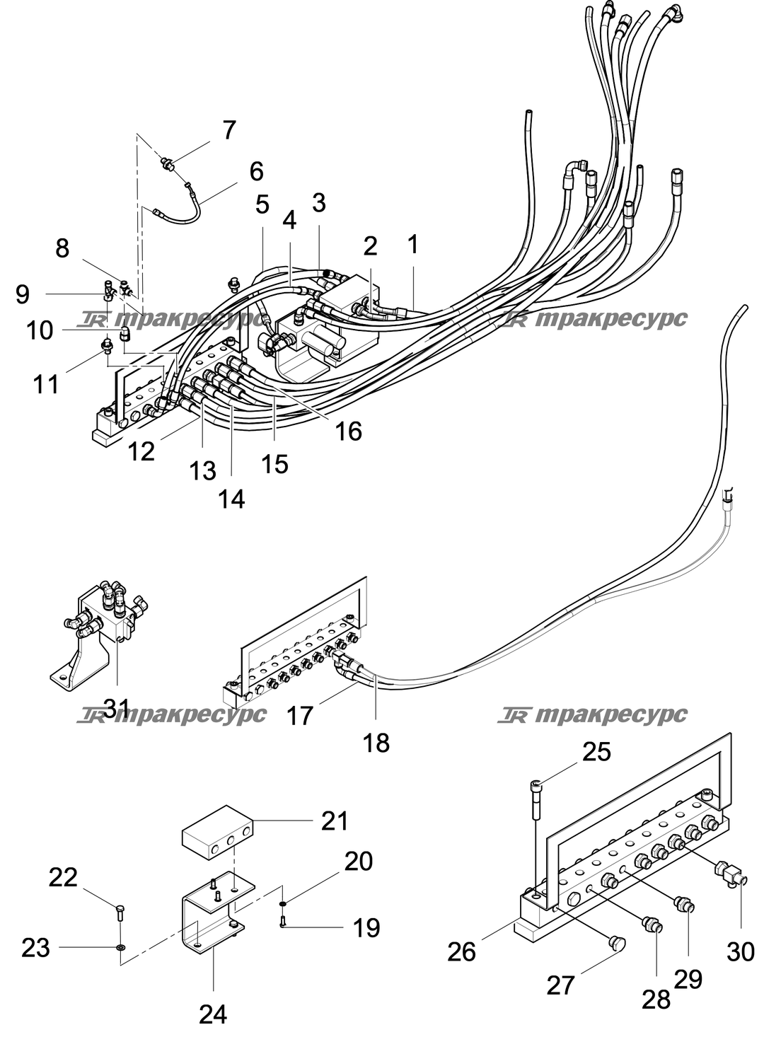 P000002812A3.png