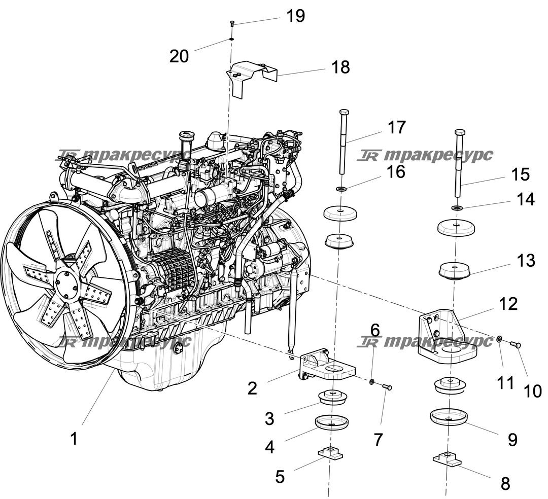 P000003009A2.png