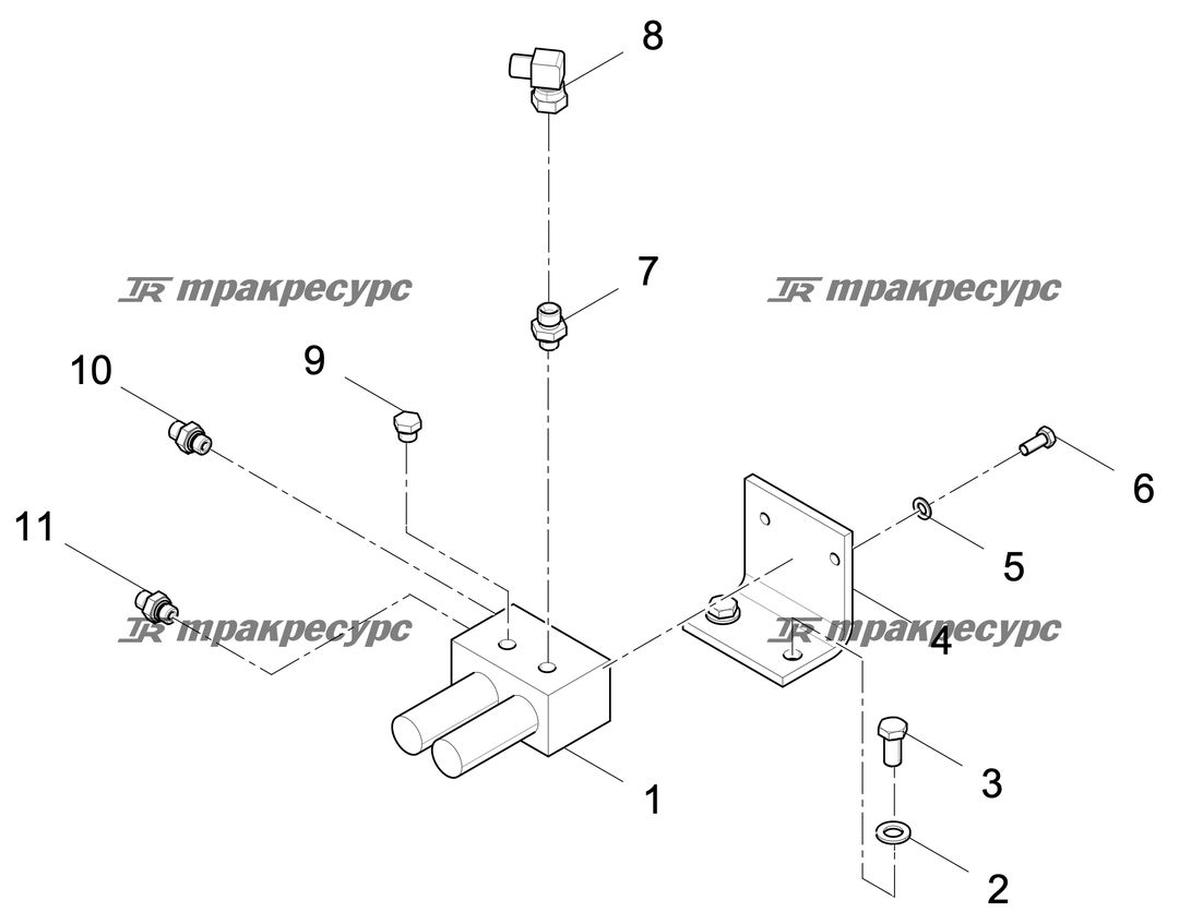 P000003029A2.png