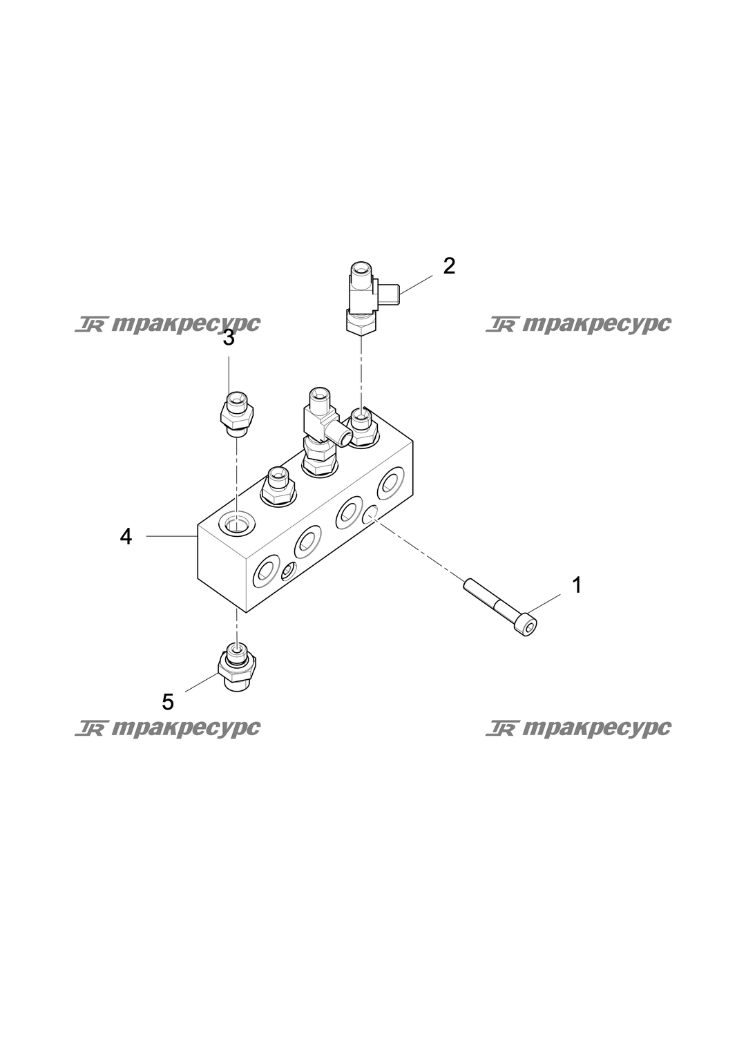 P000003035A2.png