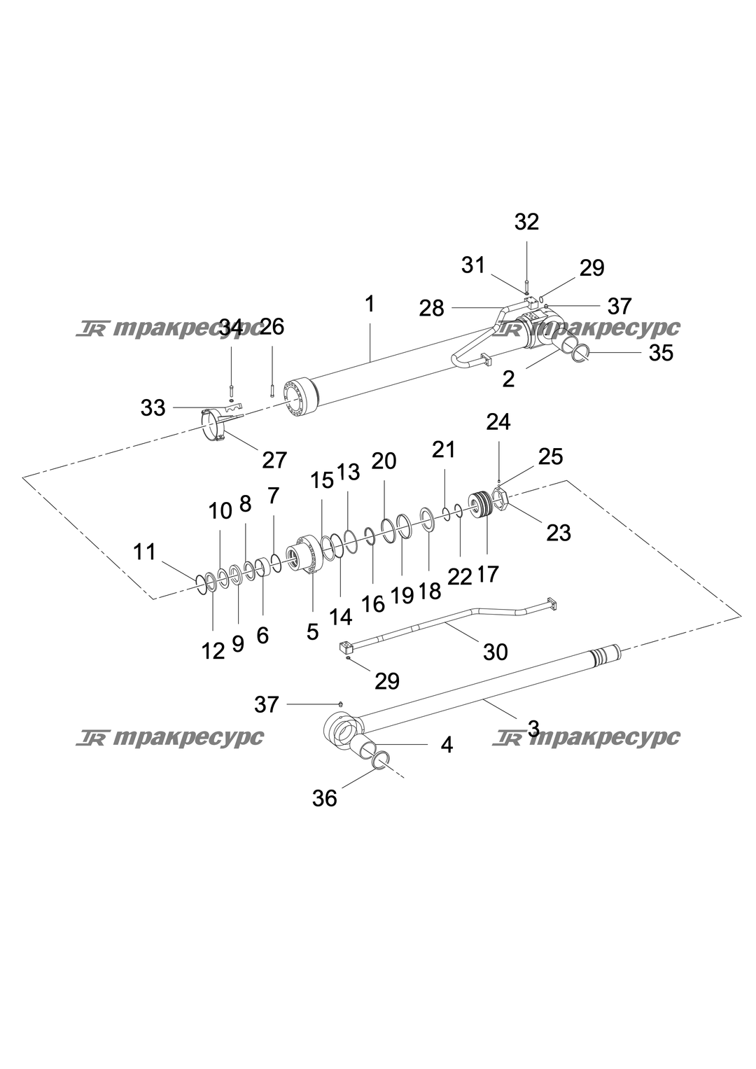 P000003063A3.png
